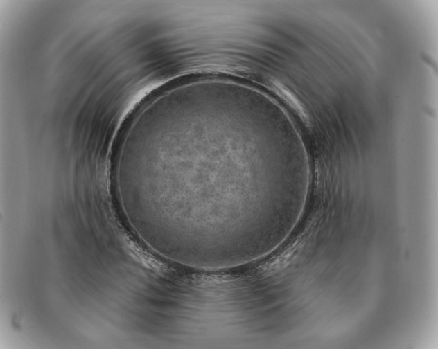 X0000091291020200708171340