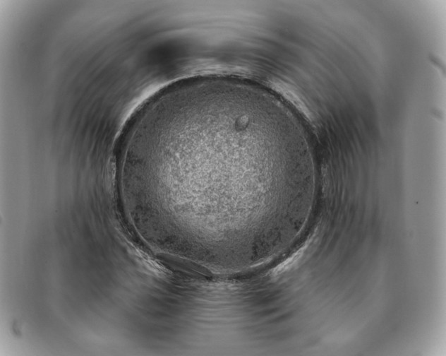 X0000091291021200708171340