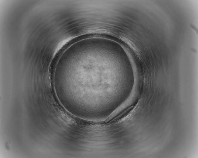 X0000091291022200708171340