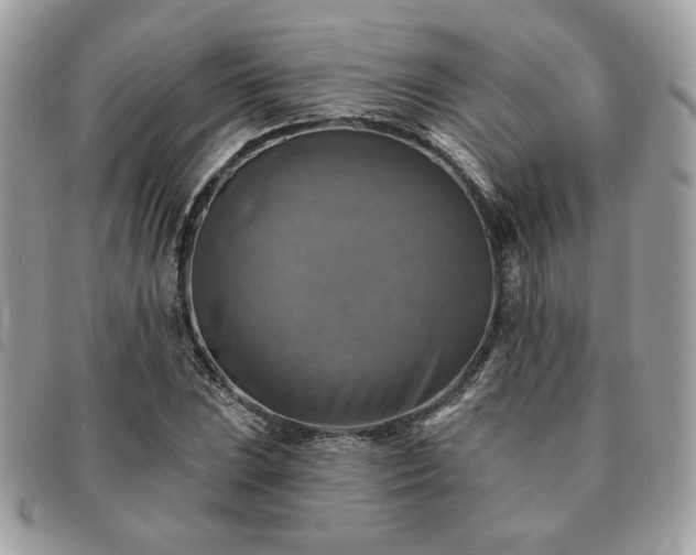 X0000091291023200708171340