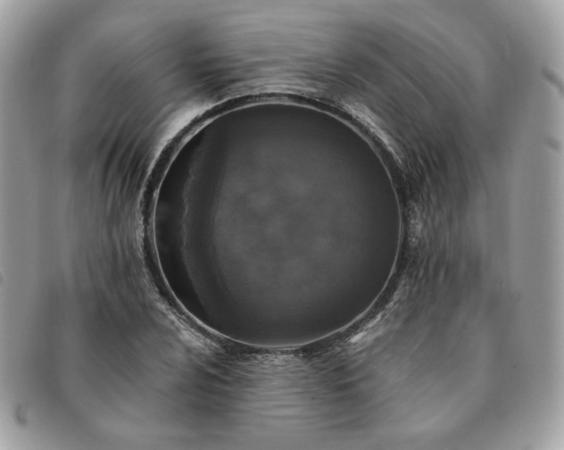 X0000091291024200708171340