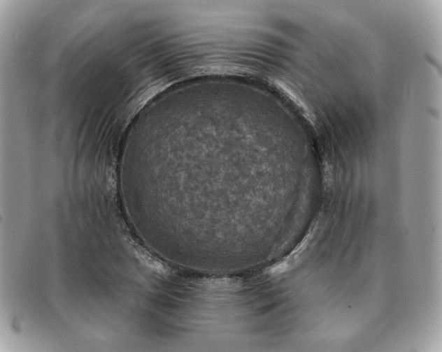 X0000091291025200708171340