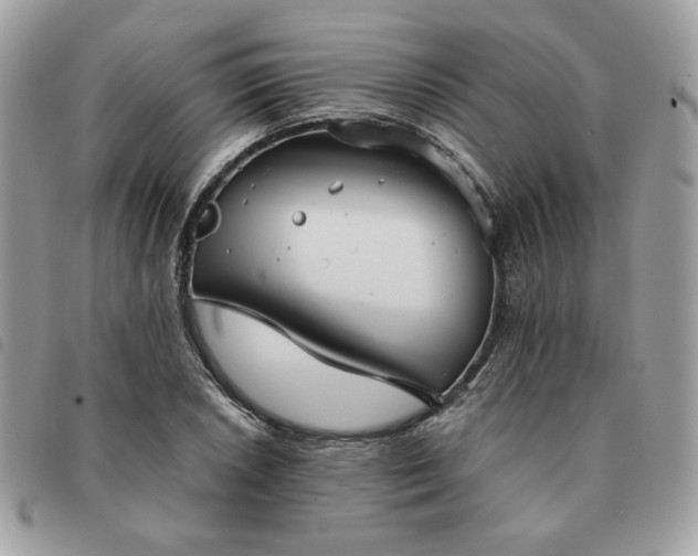 X0000091291026200708171340