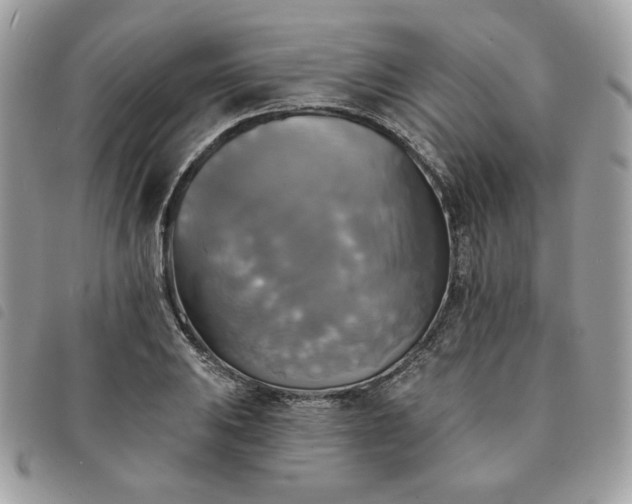 X0000091291031200708171340