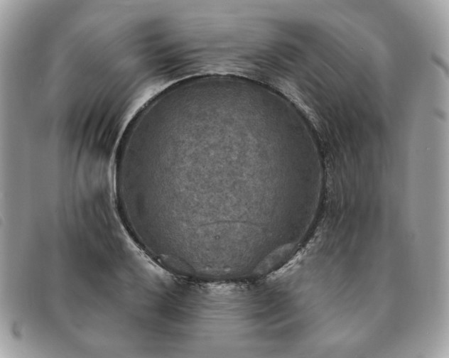 X0000091291032200708171340