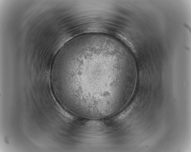 X0000091291033200708171340