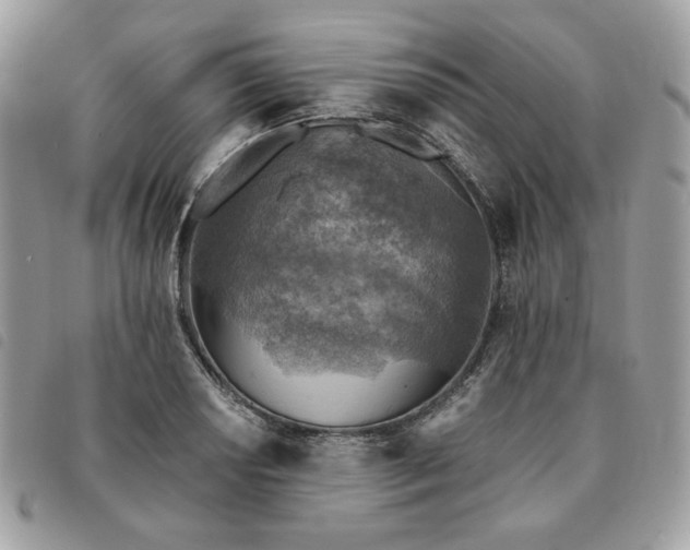 X0000091291034200708171340