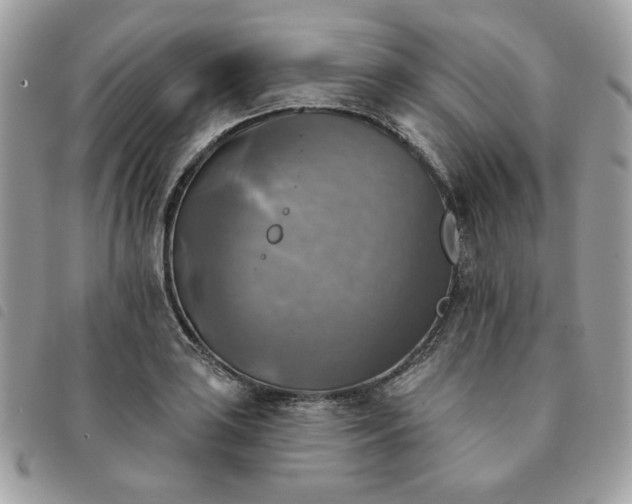 X0000091291035200708171340