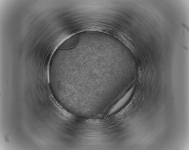 X0000091291036200708171340