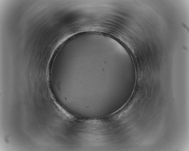 X0000091291037200708171340