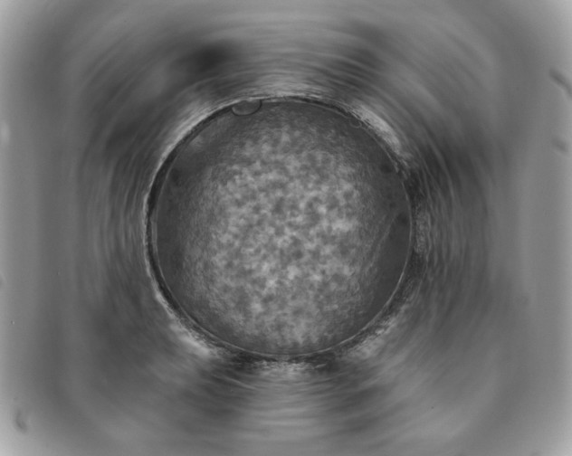 X0000091291039200708171340