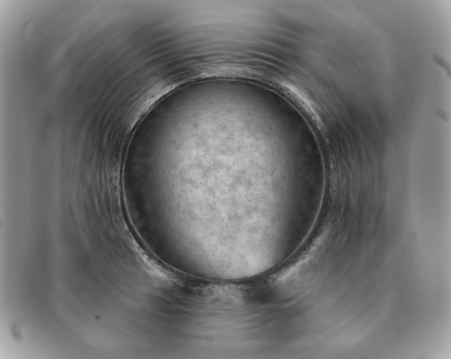 X0000091291041200708171340