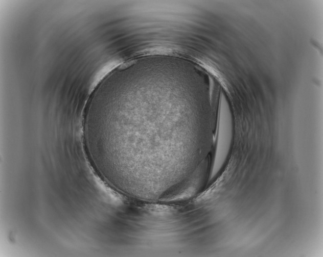 X0000091291042200708171340