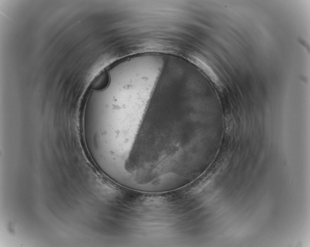 X0000091291043200708171340