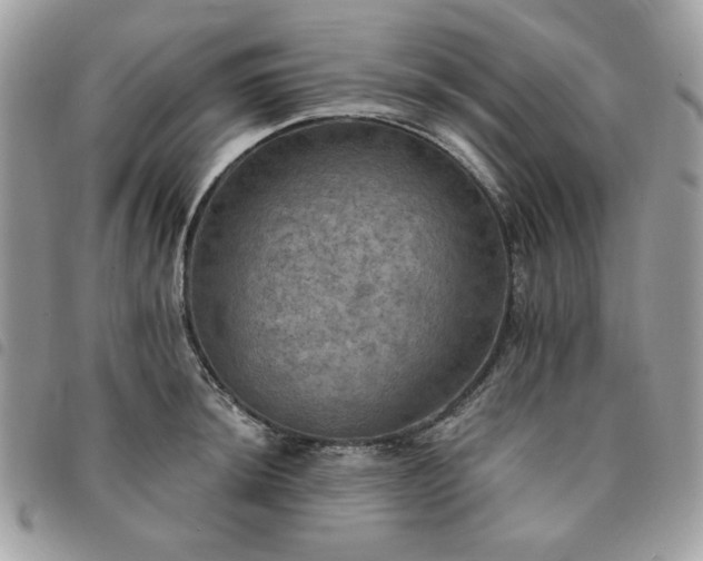 X0000091291044200708171340