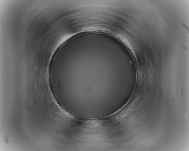 X0000091291045200708171340