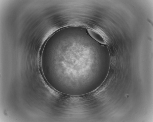 X0000091291046200708171340