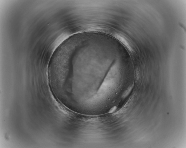 X0000091291047200708171340