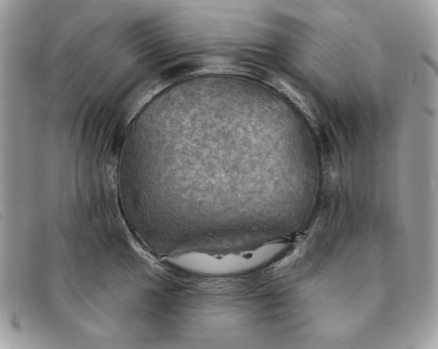 X0000091291049200708171340