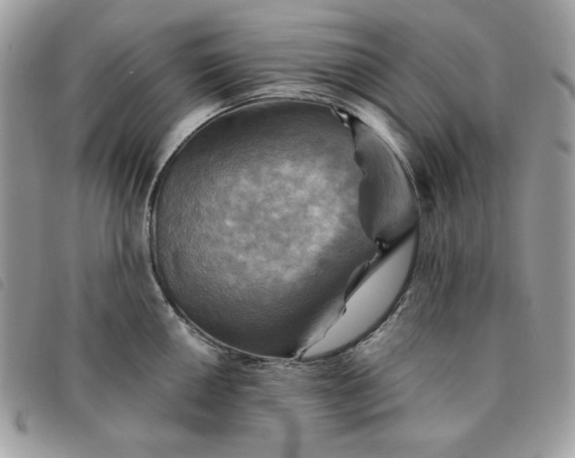 X0000091291050200708171340