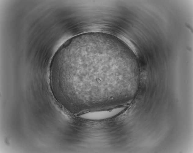 X0000091291051200708171341