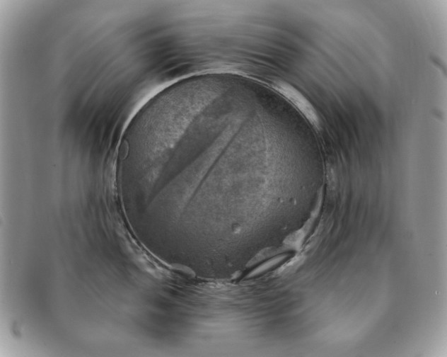 X0000091291052200708171341