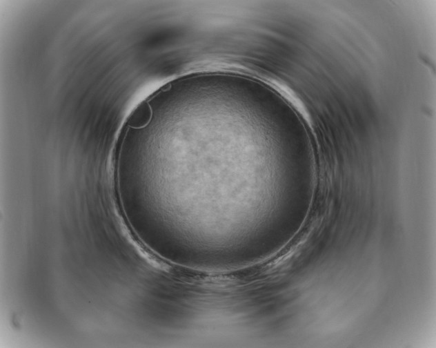 X0000091291053200708171341