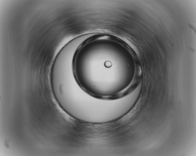 X0000091291054200708171341