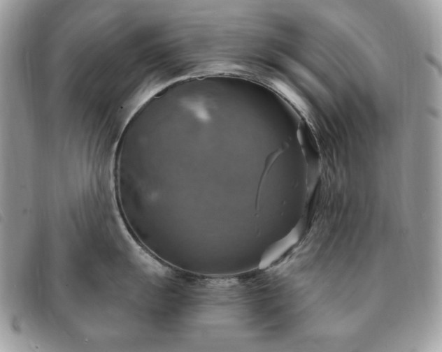 X0000091291055200708171341