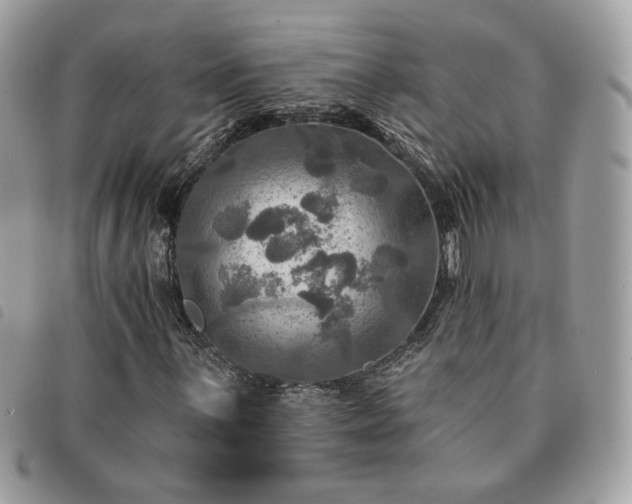 X0000091291059200708171340