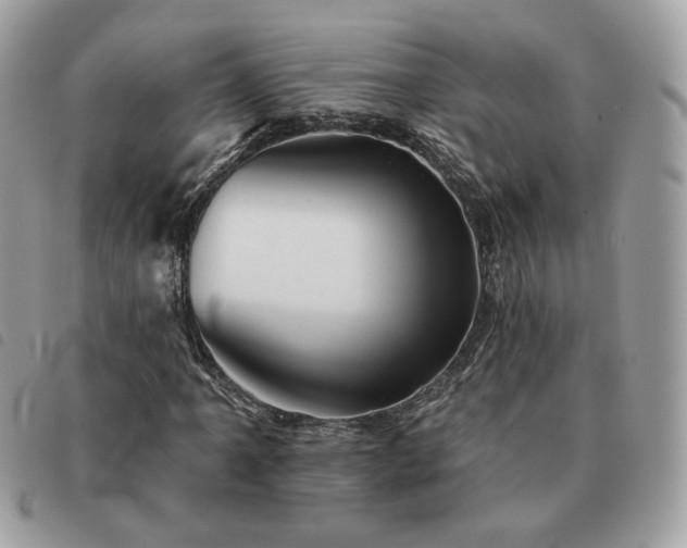 X0000091291061200708171340