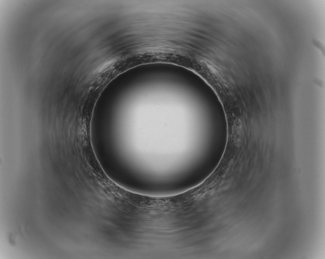 X0000091291062200708171340