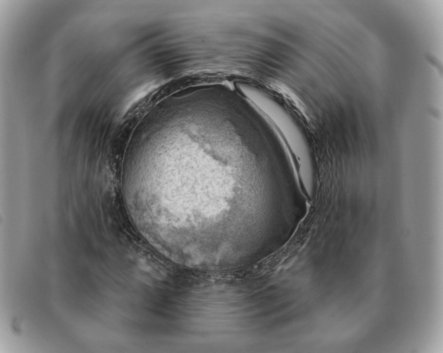 X0000091291064200708171340