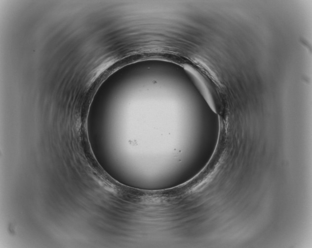 X0000091291065200708171340