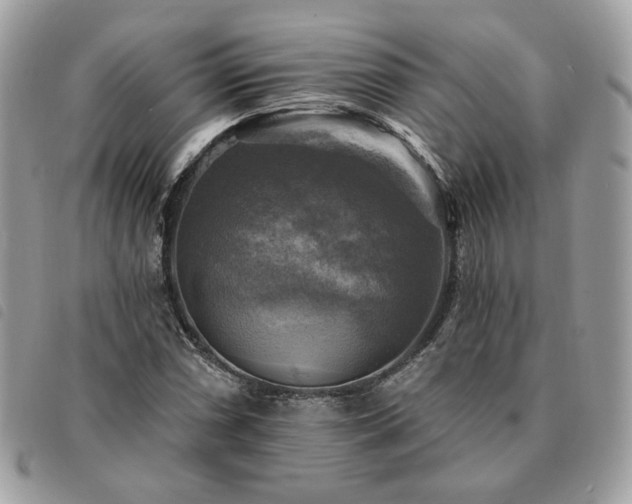 X0000091291066200708171340