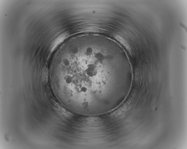 X0000091291067200708171340