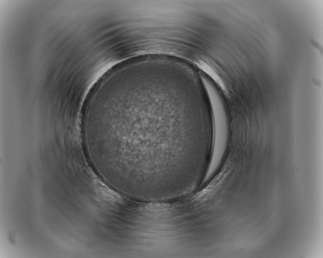 X0000091291068200708171340