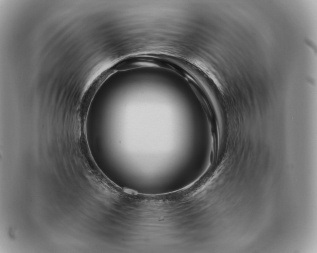 X0000091291069200708171340