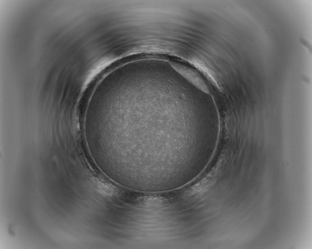 X0000091291070200708171340