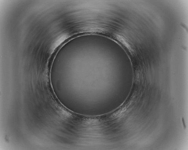 X0000091291071200708171340