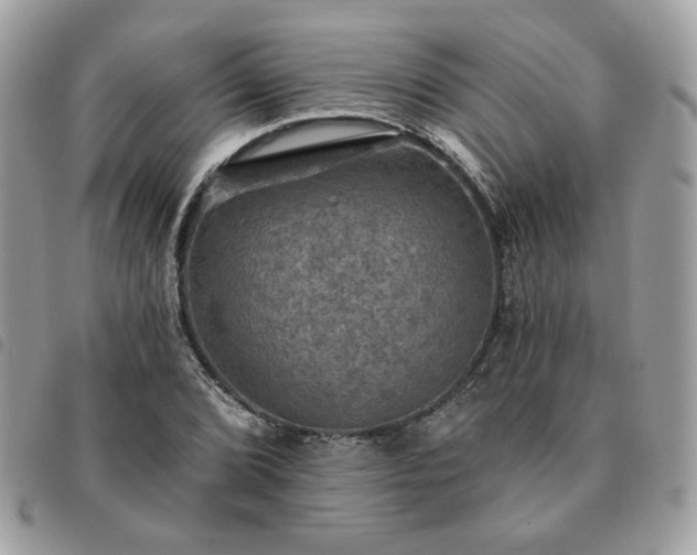 X0000091291072200708171340