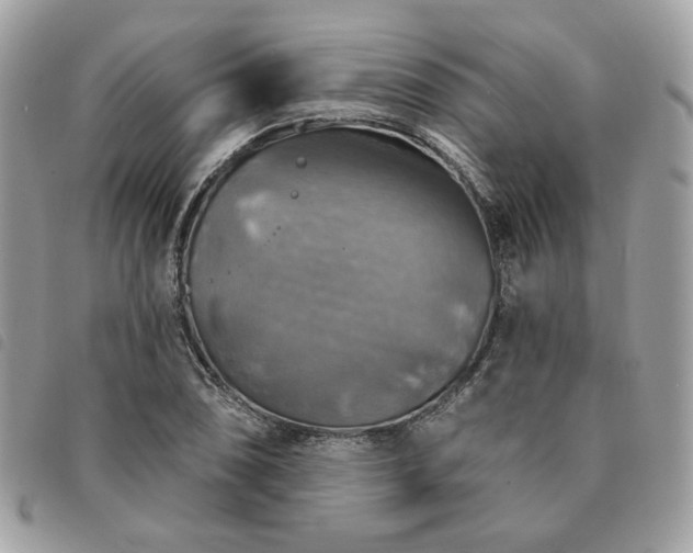 X0000091291074200708171340