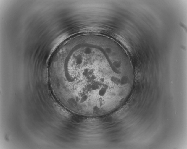 X0000091291075200708171339