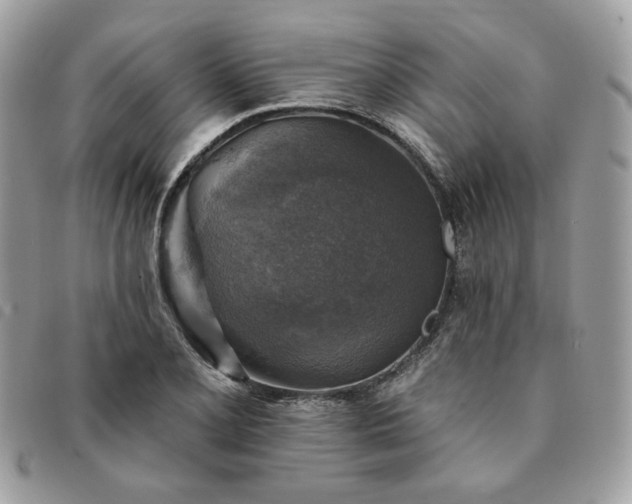 X0000091291077200708171339