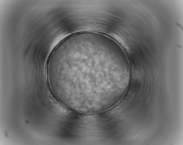 X0000091291078200708171339