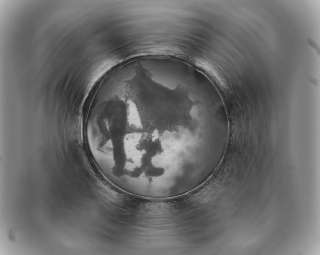 X0000091291079200708171339