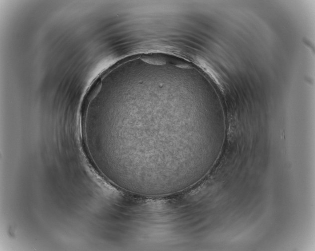 X0000091291080200708171339