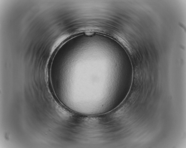 X0000091291082200708171339