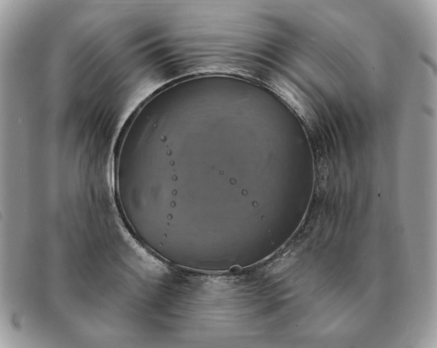 X0000091291084200708171339