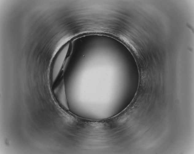 X0000091291085200708171339